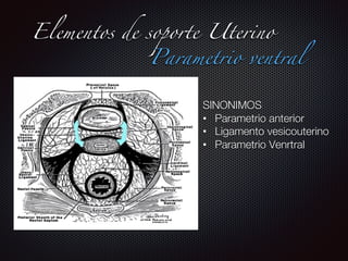 Espacios danilo baltazar final ppt | PDF