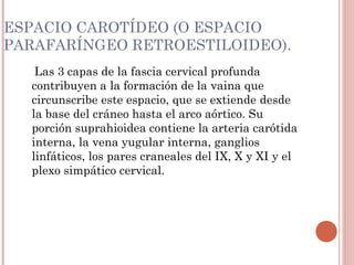 ESPACIO CAROTÍDEO (O ESPACIO
PARAFARÍNGEO RETROESTILOIDEO).
Las 3 capas de la fascia cervical profunda
contribuyen a la formación de la vaina que
circunscribe este espacio, que se extiende desde
la base del cráneo hasta el arco aórtico. Su
porción suprahioidea contiene la arteria carótida
interna, la vena yugular interna, ganglios
linfáticos, los pares craneales del IX, X y XI y el
plexo simpático cervical.
 