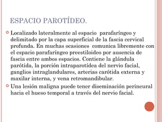ESPACIO PAROTÍDEO.
 Localizado lateralmente al espacio parafaríngeo y
delimitado por la capa superficial de la fascia cervical
profunda. En muchas ocasiones comunica libremente con
el espacio parafaríngeo preestiloideo por ausencia de
fascia entre ambos espacios. Contiene la glándula
parótida, la porción intraparotídea del nervio facial,
ganglios intraglandulares, arterias carótida externa y
maxilar interna, y vena retromandibular.
 Una lesión maligna puede tener diseminación perineural
hacia el hueso temporal a través del nervio facial.
 