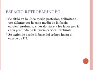 ESPACIO RETROFARÍNGEO
 Se sitúa en la línea media posterior, delimitado
por delante por la capa media de la fascia
cervical profunda, y por detrás y a los lados por la
capa profunda de la fascia cervical profunda.
 Se extiende desde la base del cráneo hasta el
cuerpo de D3.
 
