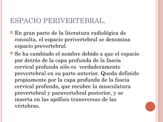 ESPACIO PERIVERTEBRAL.
 En gran parte de la literatura radiológica de
consulta, el espacio perivertebral se denomina
espacio prevertebral.
 Se ha cambiado el nombre debido a que el espacio
por detrás de la capa profunda de la fascia
cervical profunda sólo es verdaderamente
prevertebral en su parte anterior. Queda definido
propiamente por la capa profunda de la fascia
cervical profunda, que recubre la musculatura
prevertebral y paravertebral posterior, y se
inserta en las apófisis transversas de las
vértebras.
 
