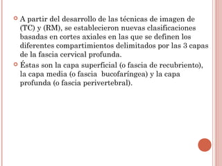  A partir del desarrollo de las técnicas de imagen de
(TC) y (RM), se establecieron nuevas clasificaciones
basadas en cortes axiales en las que se definen los
diferentes compartimientos delimitados por las 3 capas
de la fascia cervical profunda.
 Éstas son la capa superficial (o fascia de recubriento),
la capa media (o fascia bucofaríngea) y la capa
profunda (o fascia perivertebral).
 