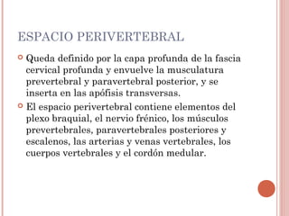 ESPACIO PERIVERTEBRAL
 Queda definido por la capa profunda de la fascia
cervical profunda y envuelve la musculatura
prevertebral y paravertebral posterior, y se
inserta en las apófisis transversas.
 El espacio perivertebral contiene elementos del
plexo braquial, el nervio frénico, los músculos
prevertebrales, paravertebrales posteriores y
escalenos, las arterias y venas vertebrales, los
cuerpos vertebrales y el cordón medular.
 