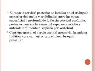  El espacio cervical posterior se localiza en el triángulo
posterior del cuello y se delimita entre las capas
superficial y profunda de la fascia cervical profunda,
posteriormente a la vaina del espacio carotídeo y
anterolateralmente al espacio perivertebral.
 Contiene grasa, el nervio espinal accesorio, la cadena
linfática cervical posterior y el plexo braquial
preaxilar.
 