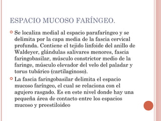 ESPACIO MUCOSO FARÍNGEO.
 Se localiza medial al espacio parafaríngeo y se
delimita por la capa media de la fascia cervical
profunda. Contiene el tejido linfoide del anillo de
Waldeyer, glándulas salivares menores, fascia
faringobasilar, músculo constrictor medio de la
faringe, músculo elevador del velo del paladar y
torus tubárico (cartilaginoso).
 La fascia faringobasilar delimita el espacio
mucoso faríngeo, el cual se relaciona con el
agujero rasgado. Es en este nivel donde hay una
pequeña área de contacto entre los espacios
mucoso y preestiloideo
 