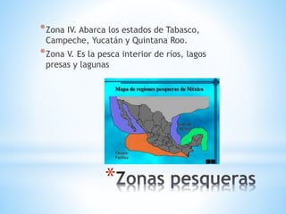 *
*Zona IV. Abarca los estados de Tabasco,
Campeche, Yucatán y Quintana Roo.
*Zona V. Es la pesca interior de ríos, lagos
presas y lagunas
 