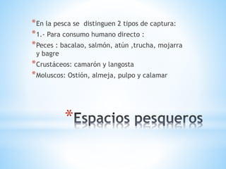 *
*En la pesca se distinguen 2 tipos de captura:
*1.- Para consumo humano directo :
*Peces : bacalao, salmón, atún ,trucha, mojarra
y bagre
*Crustáceos: camarón y langosta
*Moluscos: Ostión, almeja, pulpo y calamar
 