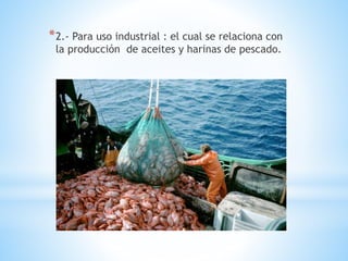 *2.- Para uso industrial : el cual se relaciona con
la producción de aceites y harinas de pescado.
 