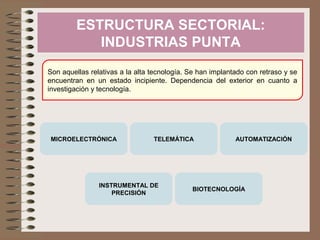 ESTRUCTURA SECTORIAL:
INDUSTRIAS PUNTA
Son aquellas relativas a la alta tecnología. Se han implantado con retraso y se
encuentran en un estado incipiente. Dependencia del exterior en cuanto a
investigación y tecnología.
MICROELECTRÓNICA TELEMÁTICA AUTOMATIZACIÓN
INSTRUMENTAL DE
PRECISIÓN
BIOTECNOLOGÍA
 