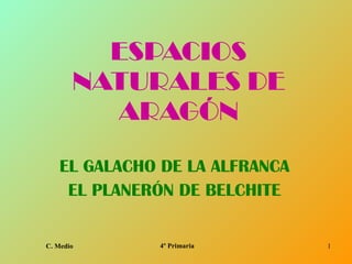 ESPACIOS NATURALES DE ARAGÓN EL GALACHO DE LA ALFRANCA EL PLANERÓN DE BELCHITE 