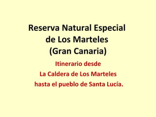 Reserva Natural Especial  de Los Marteles  (Gran Canaria) Itinerario desde  La Caldera de Los Marteles  hasta el pueblo de Santa Lucía. 