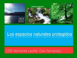 CEIP Almirante Laulhé (San Fernando)
Los espacios naturales protegidos
Lago de
Sanabria
(Zamora) Muniellas (Asturias)
Peñalara (Madrid)
 