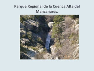 Parque Regional de la Cuenca Alta del Manzanares. 