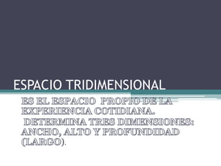 ESPACIO TRIDIMENSIONAL ).  