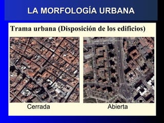 Trama urbana (Disposición de los edificios)
Cerrada Abierta
LA MORFOLOGÍA URBANALA MORFOLOGÍA URBANA
 