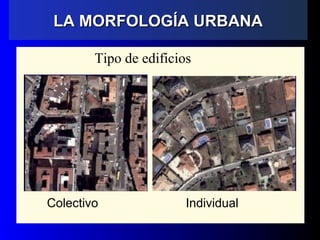 Tipo de edificios
Colectivo Individual
LA MORFOLOGÍA URBANALA MORFOLOGÍA URBANA
 