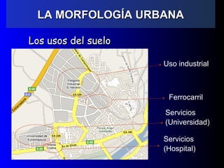 Los usos del sueloLos usos del suelo
Uso industrial
Ferrocarril
Servicios
(Universidad)
Servicios
(Hospital)
LA MORFOLOGÍA URBANALA MORFOLOGÍA URBANA
 