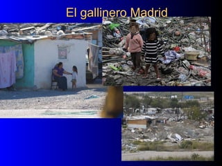 El gallinero MadridEl gallinero Madrid
 