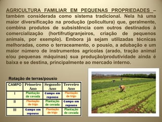 AGRICULTURA FAMILIAR EM PEQUENAS PROPRIEDADES –
também considerada como sistema tradicional. Nela há uma
maior diversificação na produção (policultura) que, geralmente,
combina produtos de subsistência com outros destinados à
comercialização (hortifrutigranjeiros, criação de pequenos
animais, por exemplo). Embora já sejam utilizadas técnicas
melhoradas, como o terraceamento, o pousio, a adubação e um
maior número de instrumentos agrícolas (arado, tração animal
e/ou pequenas máquinas) sua produção/produtividade ainda é
baixa e se destina, principalmente ao mercado interno.


 Rotação de terras/pousio
 