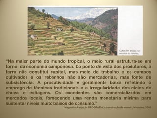 “Na maior parte do mundo tropical, o meio rural estrutura-se em
torno da economia camponesa. Do ponto de vista dos produtores, a
terra não constitui capital, mas meio de trabalho e os campos
cultivados e os rebanhos não são mercadorias, mas fonte de
subsistência. A produtividade é geralmente baixa refletindo o
emprego de técnicas tradicionais e a irregularidade dos ciclos de
chuva e estiagens. Os excedentes são comercializados em
mercados locais, fornecendo uma renda monetária mínima para
sustentar níveis muito baixos de consumo.”
                          Magnoli e Araújo, in GEOGRAFIA, A construção do mundo , Moderna, 2005
 