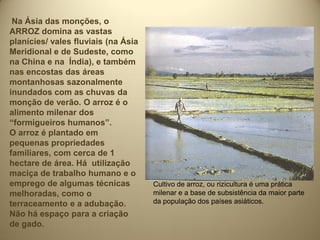 Na Ásia das monções, o
ARROZ domina as vastas
planícies/ vales fluviais (na Ásia
Meridional e de Sudeste, como
na China e na Índia), e também
nas encostas das áreas
montanhosas sazonalmente
inundados com as chuvas da
monção de verão. O arroz é o
alimento milenar dos
“formigueiros humanos”.
O arroz é plantado em
pequenas propriedades
familiares, com cerca de 1
hectare de área. Há utilização
maciça de trabalho humano e o
emprego de algumas técnicas          Cultivo de arroz, ou rizicultura é uma prática
melhoradas, como o                   milenar e a base de subsistência da maior parte
terraceamento e a adubação.          da população dos países asiáticos.
Não há espaço para a criação
de gado.
 