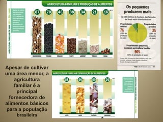Apesar de cultivar
uma área menor, a
    agricultura
    familiar é a
     principal
  fornecedora de
alimentos básicos
 para a população
    brasileira
 