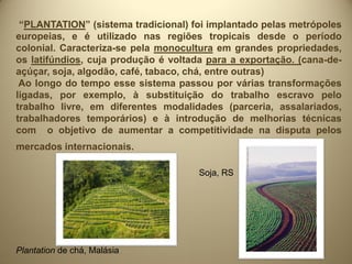 “PLANTATION” (sistema tradicional) foi implantado pelas metrópoles
europeias, e é utilizado nas regiões tropicais desde o período
colonial. Caracteriza-se pela monocultura em grandes propriedades,
os latifúndios, cuja produção é voltada para a exportação. (cana-de-
açúçar, soja, algodão, café, tabaco, chá, entre outras)
 Ao longo do tempo esse sistema passou por várias transformações
ligadas, por exemplo, à substituição do trabalho escravo pelo
trabalho livre, em diferentes modalidades (parceria, assalariados,
trabalhadores temporários) e à introdução de melhorias técnicas
com o objetivo de aumentar a competitividade na disputa pelos
mercados internacionais.

                                      Soja, RS




Plantation de chá, Malásia
 
