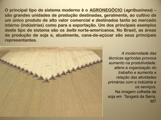 O principal tipo de sistema moderno é o AGRONEGÓCIO (agribusiness) –
são grandes unidades de produção destinadas, geralmente, ao cultivo de
um único produto de alto valor comercial e destinados tanto ao mercado
interno (indústrias) como para a exportação. Um dos principais exemplos
deste tipo de sistema são os belts norte-americanos. No Brasil, as áreas
de produção de soja e, atualmente, cana-de-açúcar são seus principais
representantes.


                                                         A modernidade das
                                                técnicas agrícolas provoca
                                                aumento na produtividade,
                                                    altera a organização do
                                                       trabalho e aumenta a
                                                     relação das atividades
                                                primárias com a indústria e
                                                                 os serviços.
                                                    Na imagem colheita de
                                                soja em Tangará da Serra,
                                                                          MT
 