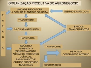 ORGANIZAÇÃO PRODUTIVA DO AGRONEGÓCIO
         UNIDADE PRODUTORA
     (LOCAL DE PLANTIO E COLHEITA            INSUMOS AGRÍCOLAS
E

N         TRANSPORTE

E                                                   BANCOS
       SILOS/ARMAZENAGEM                        FINANCIAMENTOS
R

G         TRANSPORTE
I
           INDÚSTRIA           TRANSPORTE
A         ALIMENTÍCIA
       (BENEFICIAMENTO,                          MERCADO
      ADIÇÃO DE PRODUTOS                    CONSUMIDOR INTERNO
           QUÍMICOS,
        ENSACAMENTO E
      OUTROS PROCESSOS
          INDUSTRIAIS        EXPORTAÇÕES
 