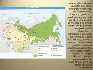 Apesar das limitações
    impostas pelo clima,
(temperado continental,
     com invernos muito
   longos e rigorosos) a
 produção agropecuária
  na CEI é uma espécie
de herança dos tempos
 da ex-URSS, à medida
      que a produção de
            alimentos era
estratégica e essencial,
   em função da Guerra
Fria. Por isso, a área se
destaca como uma das
     grandes produtoras
 mundiais de alimentos,
   com destaque para a
     Ucrânia e a própria
      Rússia, onde há a
      presença de solos
 muito férteis, como as
        terras negras ou
             tchernoziom.
 
