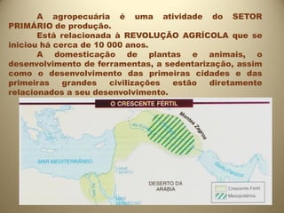 A agropecuária é uma atividade do SETOR
PRIMÁRIO de produção.
       Está relacionada à REVOLUÇÃO AGRÍCOLA que se
iniciou há cerca de 10 000 anos.
       A domesticação de plantas e animais, o
desenvolvimento de ferramentas, a sedentarização, assim
como o desenvolvimento das primeiras cidades e das
primeiras    grandes   civilizações estão   diretamente
relacionados a seu desenvolvimento.
 
