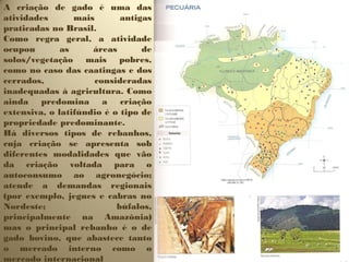 A criação de gado é uma das
atividades       mais       antigas
praticadas no Brasil.
Como regra geral, a atividade
ocupou        as     áreas       de
solos/vegetação mais pobres,
como no caso das caatingas e dos
cerrados,             consideradas
inadequadas à agricultura. Como
ainda predomina a criação
extensiva, o latifúndio é o tipo de
propriedade predominante.
Há diversos tipos de rebanhos,
cuja criação se apresenta sob
diferentes modalidades que vão
da criação voltada para o
autoconsumo ao agronegócio;
atende a demandas regionais
(por exemplo, jegues e cabras no
Nordeste;                  búfalos,
principalmente na Amazônia)
mas o principal rebanho é o de
gado bovino, que abastece tanto
o mercado interno como o
mercado internacional
 