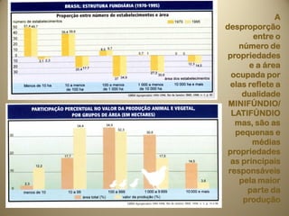 A
desproporção
        entre o
    número de
 propriedades
       e a área
  ocupada por
  elas reflete a
     dualidade
 MINIFÚNDIO/
  LATIFÚNDIO
   mas, são as
   pequenas e
        médias
 propriedades
  as principais
 responsáveis
    pela maior
       parte da
     produção
 
