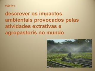 objetivo


descrever os impactos
ambientais provocados pelas
atividades extrativas e
agropastoris no mundo
 