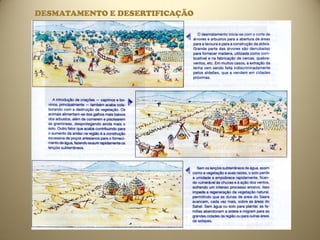 DESMATAMENTO E DESERTIFICAÇÃO
 