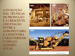 A EVOLUÇÃO
DAS TÉCNICAS
DE PRODUÇÃO
E A CRESCENTE
ASSOCIAÇÃO
ENTRE A
AGROPECUÁRIA
E A INDÚSTRIA
CARACTERIZAM
O ESPAÇO
AGRÁRIO
ATUAL
 