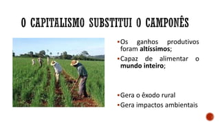 Os ganhos produtivos
foram altíssimos;
Capaz de alimentar o
mundo inteiro;
Gera o êxodo rural
Gera impactos ambientais
 