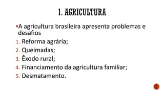 A agricultura brasileira apresenta problemas e
desafios
1. Reforma agrária;
2. Queimadas;
3. Êxodo rural;
4. Financiamento da agricultura familiar;
5. Desmatamento.
 