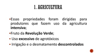 Essas propriedades foram dirigidas para
produtores que fazem uso da agricultura
intensiva;
Fruto da Revolução Verde;
 Uso excessivo de agrotóxicos
 Irrigação e o desmatamento descontrolados
 