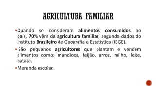 Quando se consideram alimentos consumidos no
país, 70% vêm da agricultura familiar, segundo dados do
Instituto Brasileiro de Geografia e Estatística (IBGE).
 São pequenos agricultores que plantam e vendem
alimentos como: mandioca, feijão, arroz, milho, leite,
batata.
Merenda escolar.
 