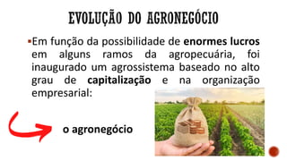 Em função da possibilidade de enormes lucros
em alguns ramos da agropecuária, foi
inaugurado um agrossistema baseado no alto
grau de capitalização e na organização
empresarial:
o agronegócio
 