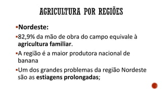 Nordeste:
82,9% da mão de obra do campo equivale à
agricultura familiar.
A região é a maior produtora nacional de
banana
Um dos grandes problemas da região Nordeste
são as estiagens prolongadas;
 