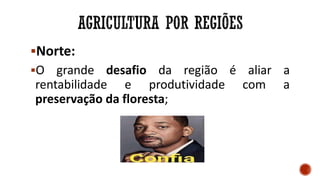 Norte:
O grande desafio da região é aliar a
rentabilidade e produtividade com a
preservação da floresta;
 