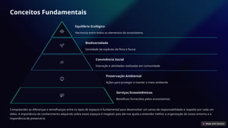 Conceitos Fundamentais
Equilíbrio Ecológico
Harmonia entre todos os elementos do ecossistema
Biodiversidade
Variedade de espécies de flora e fauna
Convivência Social
Interação e atividades realizadas em comunidade
Preservação Ambiental
Ações para proteger e manter o meio ambiente
Serviços Ecossistêmicos
Benefícios fornecidos pelos ecossistemas
Compreender as diferenças e semelhanças entre os tipos de espaços é fundamental para desenvolver um senso de responsabilidade e respeito por cada um
deles. A importância do conhecimento adquirido sobre esses espaços é inegável, pois ele nos ajuda a entender melhor a organização do nosso entorno e a
importância de preservá-lo.
 
