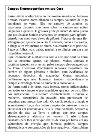 Campos Eletromagnéticos em sua Casa
Passei minha adolescência no meio-oeste americano. Adorava
o verão. Passava horas olhando os campos dourados de trigo
ondulando ao vento. Não me cansava de admirar os
vagalumes piscando suas luzes sobre os campos nas noites
lânguidas e quentes. E gostava principalmente de uma planta
que nos Estados Unidos chamamos de compass-plant (planta-
bússola) ou pilot weed (erva de piloto). Trata-se de uma flor
selvagem que aparece no verão. É amarela, como a margarida,
e chega a ter três metros de altura. Sua característica principal
é que as folhas mais baixas tendem a se alinhar em um eixo
magnético norte-sul.
Esse fenômeno de alinhamento com o eixo norte-sul da Terra
não se encontra apenas nas plantas. Muitos animais e
bactérias também se orientam pelos campos eletromagnéticos
da Terra. Cientistas descobriram sensores magnéticos no
cérebro de alguns pássaros e abelhas, com evidências de
pequenos depósitos de magnetita. Outras pesquisas
confirmam que nós, humanos, também respondemos a
campos eletromagnéticos do ambiente à nossa volta.
De forma sutil e às vezes mais intensa, somos influenciados
por todos os campos eletromagnéticos que nos cercam. Eles
nos influenciam e sustentam constantemente. Homens e
mulheres, curandeiros do passado, não precisavam de
pesquisas para provar isso tudo. Os xamãs sentiam a magia e
as misteriosas forças das quatro direções do universo. Eles as
cultuavam em cerimônias e rituais. Intuitivamente, sentiam a
atração do eixo da Terra e sabiam que seus campos
eletromagnéticos afetavam os homens. E não tinham
cientistas para lhes dizer que abaixo de seus pés havia um rio
subterrâneo de energia que formava padrões, campos
eletrostáticos e concentrações de íons-negativos. Nem sabiam
 