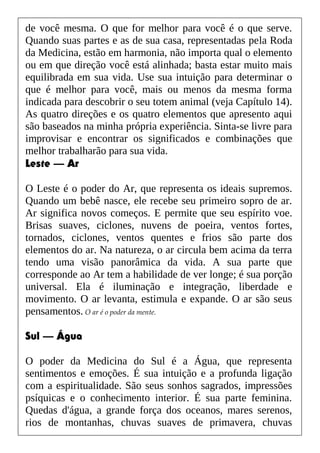 de você mesma. O que for melhor para você é o que serve.
Quando suas partes e as de sua casa, representadas pela Roda
da Medicina, estão em harmonia, não importa qual o elemento
ou em que direção você está alinhada; basta estar muito mais
equilibrada em sua vida. Use sua intuição para determinar o
que é melhor para você, mais ou menos da mesma forma
indicada para descobrir o seu totem animal (veja Capítulo 14).
As quatro direções e os quatro elementos que apresento aqui
são baseados na minha própria experiência. Sinta-se livre para
improvisar e encontrar os significados e combinações que
melhor trabalharão para sua vida.
Leste — Ar
O Leste é o poder do Ar, que representa os ideais supremos.
Quando um bebê nasce, ele recebe seu primeiro sopro de ar.
Ar significa novos começos. E permite que seu espírito voe.
Brisas suaves, ciclones, nuvens de poeira, ventos fortes,
tornados, ciclones, ventos quentes e frios são parte dos
elementos do ar. Na natureza, o ar circula bem acima da terra
tendo uma visão panorâmica da vida. A sua parte que
corresponde ao Ar tem a habilidade de ver longe; é sua porção
universal. Ela é iluminação e integração, liberdade e
movimento. O ar levanta, estimula e expande. O ar são seus
pensamentos. O ar é o poder da mente.
Sul — Água
O poder da Medicina do Sul é a Água, que representa
sentimentos e emoções. É sua intuição e a profunda ligação
com a espiritualidade. São seus sonhos sagrados, impressões
psíquicas e o conhecimento interior. É sua parte feminina.
Quedas d'água, a grande força dos oceanos, mares serenos,
rios de montanhas, chuvas suaves de primavera, chuvas
 