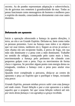 secreto. As de pombo representam adaptação e sobrevivência.
As de gaivotas nos remetem à grandiosidade do mar. Todas as
penas funcionam como mensageiros de homens e mulheres para
o espírito do mundo, conectando-os diretamente com esse outro
domínio.
Defumando um aposento
Inicie a operação oferecendo a fumaça às quatro direções, à
terra, ao céu e ao Grande Espírito. Defume-se, bem como todas
as pessoas presentes. Lave na fumaça suas mãos e os objetos
que vai usar (sinos, tambores etc.). Segure as ervas já acesas e
sem chama em um recipiente fundo, à prova de fogo, em sua
mão não dominante e a pena com a mão dominante. Trabalhe
no sentido do relógio, começando pelo canto mais a leste,
movimentando a fumaça pelo perímetro do cômodo com
pequenos golpes com a pena. Faça os movimentos de forma
clara e vigorosa. Se perceber algum ponto com energia densa ou
estagnada, conduza a fumaça com a pena para anular essa
energia.
Quando tiver completado o percurso, dirija-se ao centro do
aposento e peça ao Espírito que o purifique e limpe, recitando
esta prece:
Grande Espírito, possam minhas preces subir com esta fumaça
até onde estais. Trazei bênção e paz a este aposento e a todos
aqueles que o ocupam. Sei que vossa bênção voltará até nós
por meio desta fumaça e vos agradeço a graça recebida.
 