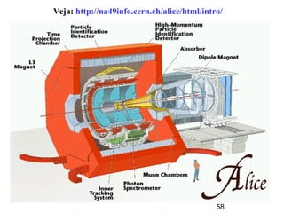 58
Veja: http://na49info.cern.ch/alice/html/intro/
 