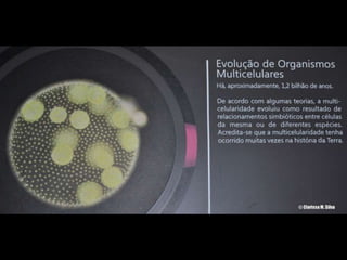 Espaco TIM UFMG do Conhecimento