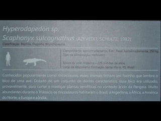 Espaco TIM UFMG do Conhecimento